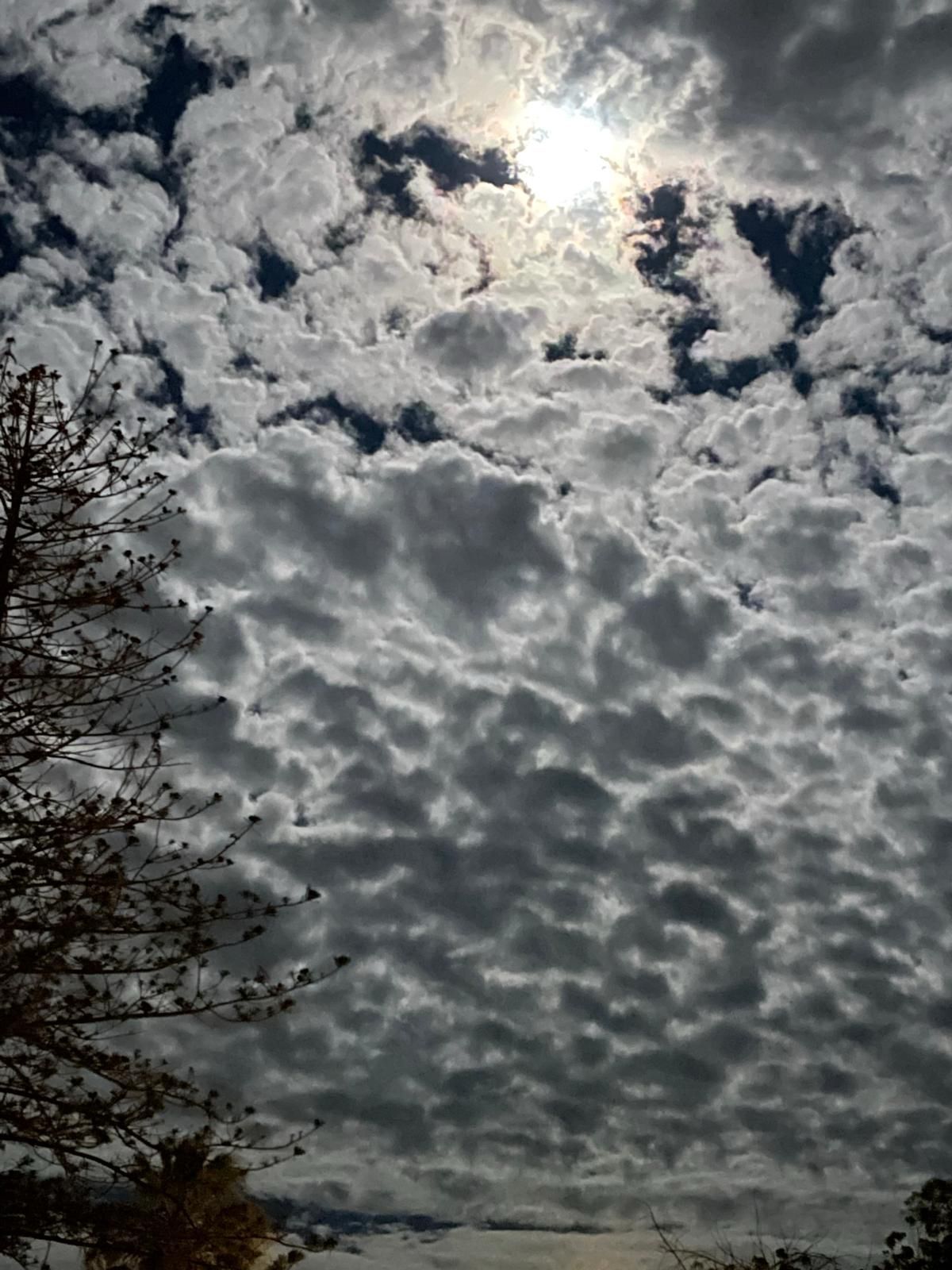 Poster for E SE O GESTO?