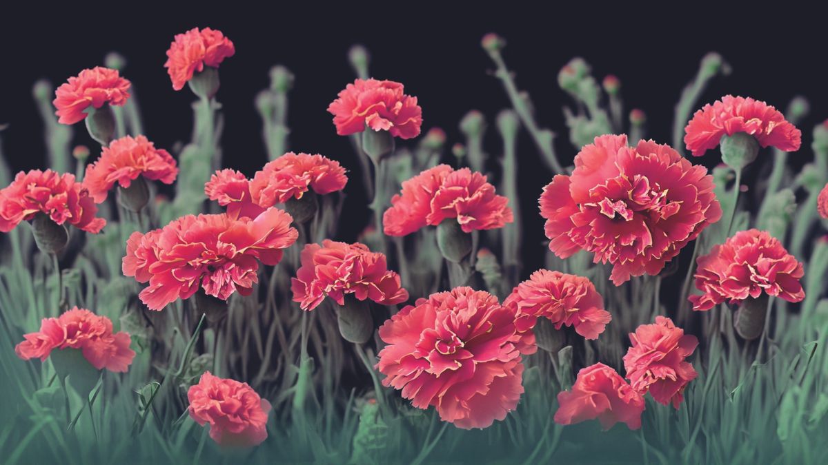 Play cover image